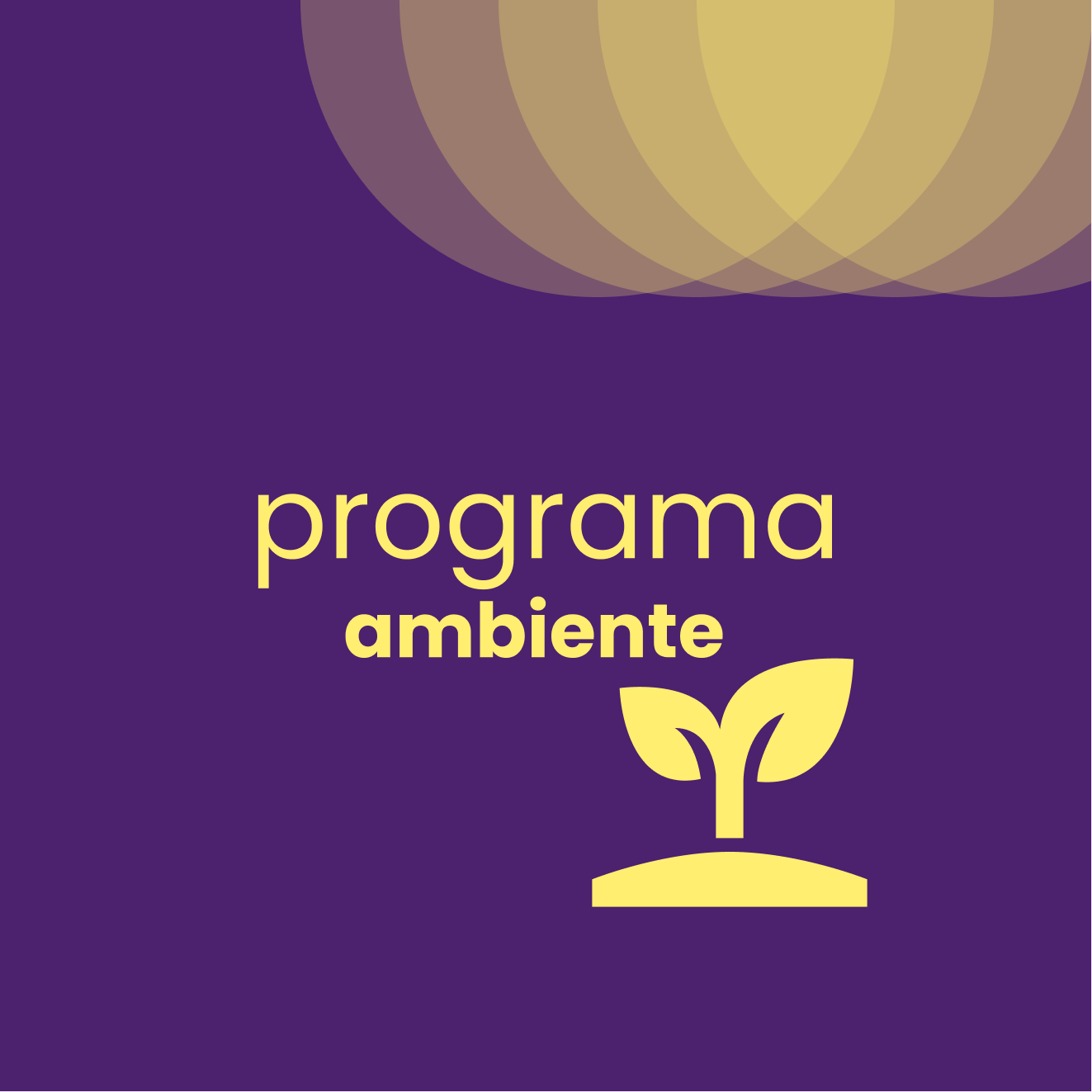 Programa